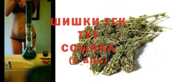 молекула духа Пестово