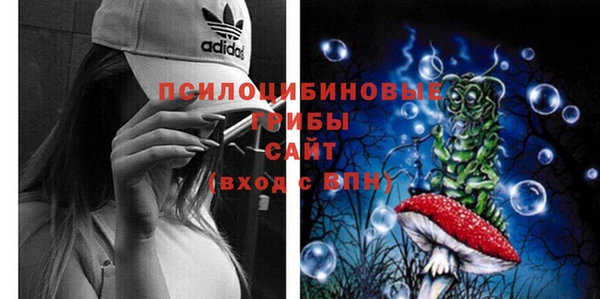 эйфоретик Алексеевка
