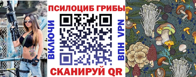 Псилоцибиновые грибы MAGIC MUSHROOMS Североуральск